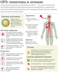 Симптомы и лечение ОРЗ