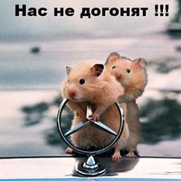 Посылка №3..." Только этого мало!" или снова про аппетит хомячий