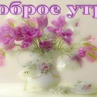Всем самое раннее доброе утро! утренний позитивчик!