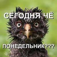 Доброе предоброе утро!! с началом новой рабочей недели!!!