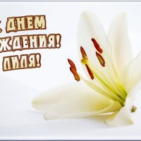 У Лилечки сегодня день рожденья!!! поздравим, Друзья!!!