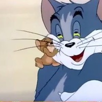 Кошка ушла на пенсию. Я в шоке! Дополнила