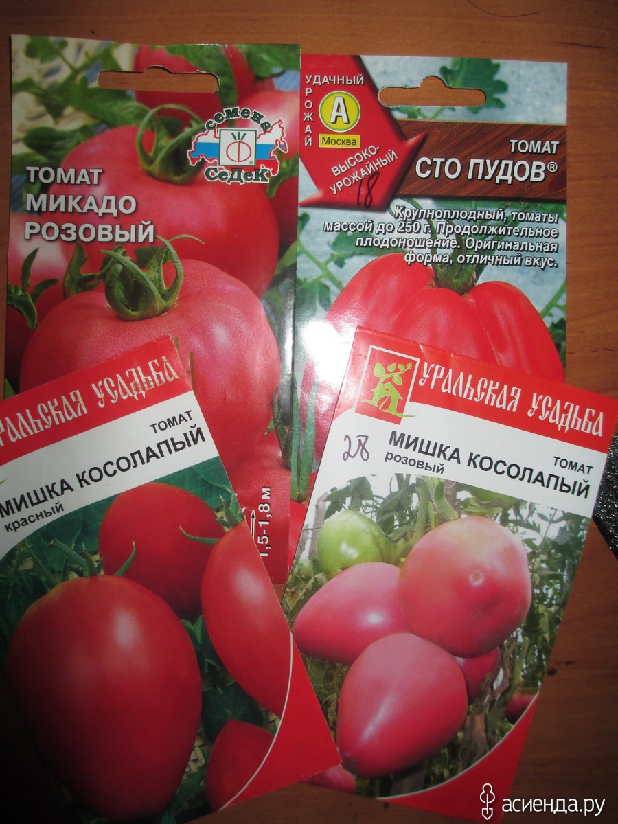 Томат сорт микадо розовый. Микадо сорт томатов. Сорт помидор Микадо розовый. Сорт томатов Стопудовый.