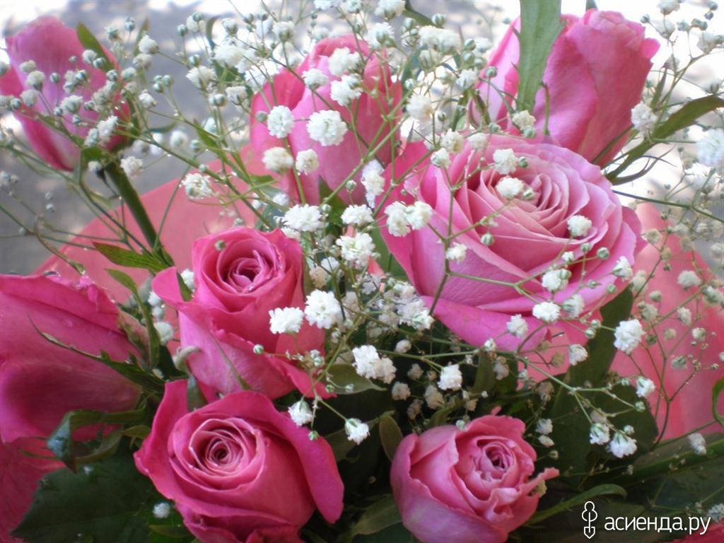 Цветы переслать. Красивые цветы. Красивый букет цветов с днем рождения. Очень красивые букеты цветов. Цветы для женщины.