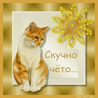 Добро пожаловать за улыбками!!! ( хорошее настроение прилагается)