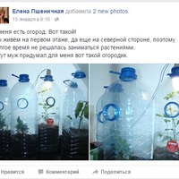 Вот такой мини огород