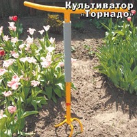 Нужен совет, пожалуйста. Дополнила.
