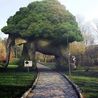 Дерево - шедевр