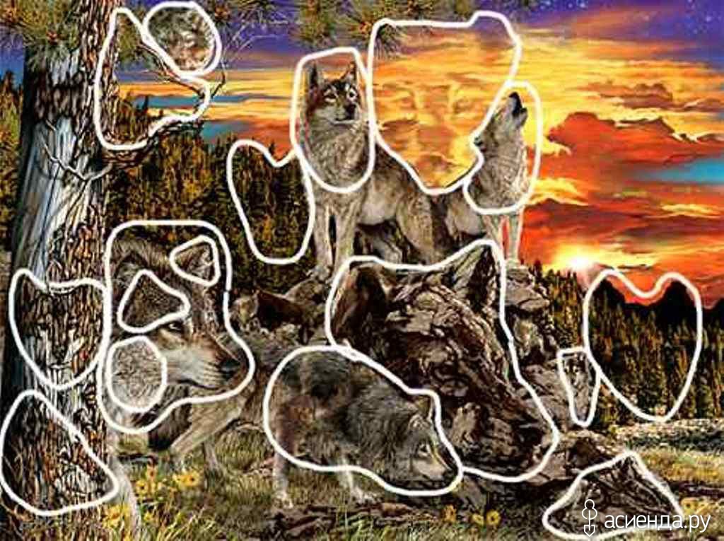 Картинки сколько изображено. Картина Гарднер 17 Волков. Спрятанные животные. Сколько животных спрятано на картинке.