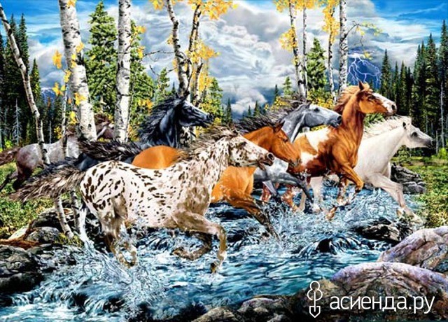 21 HORSES