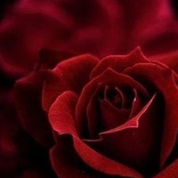 Зацепило... слов не найду, как зацепило...