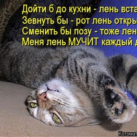 Я ЛЕНЮЮЮСЬ!