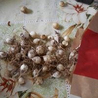 Масштабы щедрости подруги.