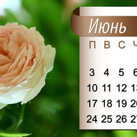 Июньские поздравлялки!
