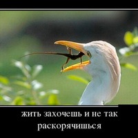 ... улыбнись))