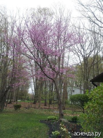 May 2016