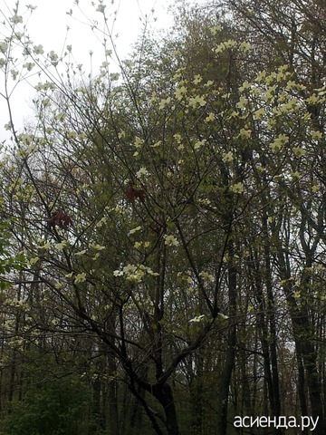 May 2016