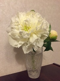 � ��� ����� ��� �������� ������!