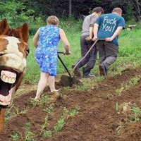 МЫСЛИ ВСЛУХ...