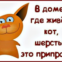В ПРАЗДНИК Кошек улыбнемся!