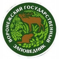 Как мы провели праздничные дни.. или как развлечь гостей ЧАСТЬ ВТОРАЯ