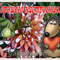 Доброе Утро, Друзья!!!