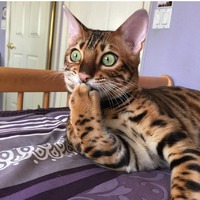 Еще не верится до конца...