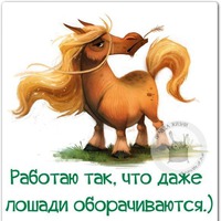 Цитаты
