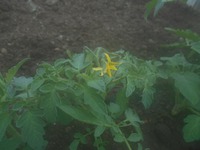 �� ����� �� ������.