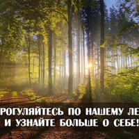 Тест «Прогулка по лесу»