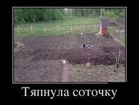 Вот такой активный отдых!