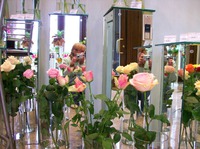 Давайте знакомиться