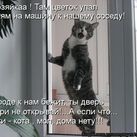 О братьях наших меньших. С улыбкой.