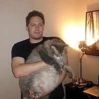Котики! Обожаю!