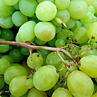 Сбор винограда: в чем и где хранить урожай?