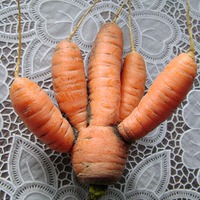 Морковные выкрутасы