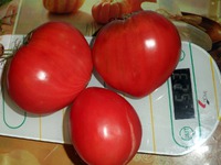 Дары соседки
