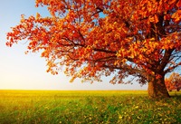 � ���� ���� ����� ���������� �������!