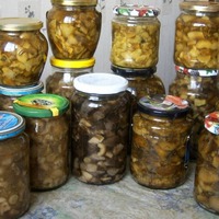 10 ВКУСНЕЙШИХ и НЕЖНЕЙШИХ заготовок из ГРИБОВ на зиму.