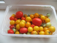 ������ �� ������� ������...