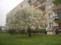 И к нам ворвалась весна...