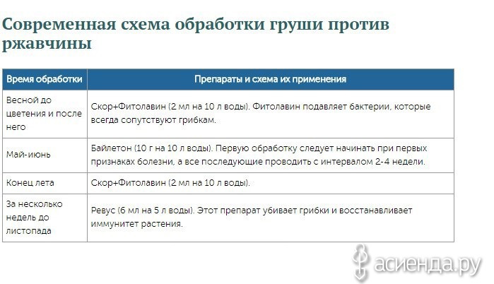 Можно ли обработать грушу