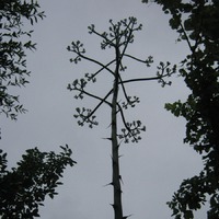 ��� � ������� �����.