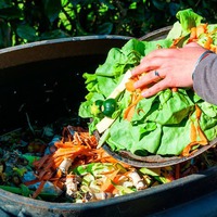 5 советов для сокращения пищевых отходов