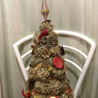 Елочки в школу