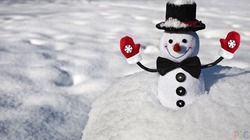 10 удивительных фактов о снеговиках