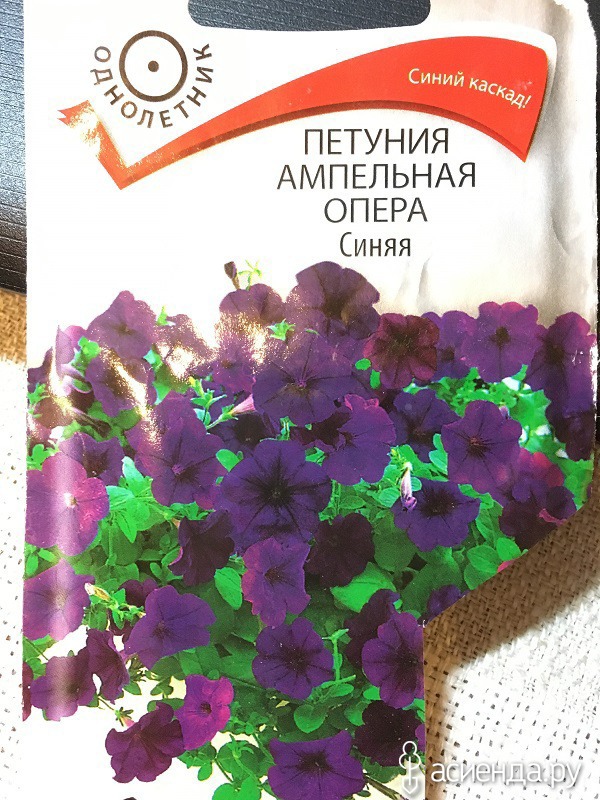 Петуния опера купить семена