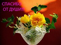 Подарок от Алтайской Снегурочки