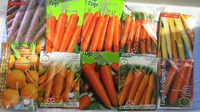 Сравниваю 10 сортов моркови!
