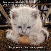 Улыбайтесь чаще ( котоматриница)